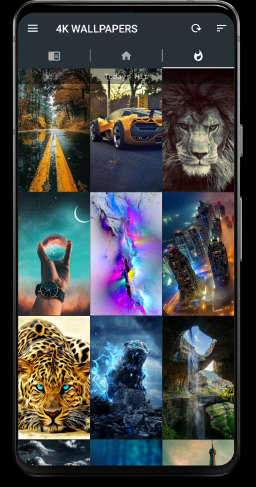 0f57a2ad60cd4f88b24975e58ed3be31.png