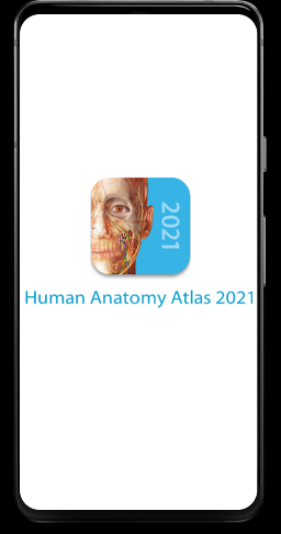 ca0099a5bba4813566d9409abccd108d.png